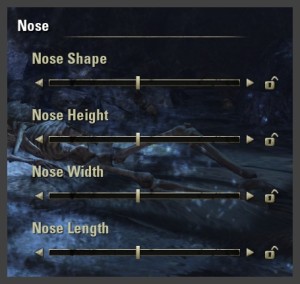 Character creation - Nose sliders